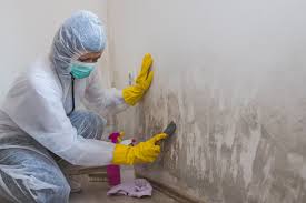 Forensic Mold Investigation in Harrisville, WV